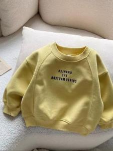 Cartoon Long Sleeve Thin Hoodie for Boys Baby Autumn Fashionable Rabbit Fur 100% New Arrival Spring Autumn Seasonal Wear