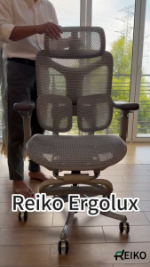 Reiko Ergolux with Pedal Ergonomic Chair Full Mesh 5 Years Warranty Office Chair Adjustable Lumbar Chair Gaming Chair