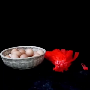 100 Set Jaring Polynet Buah / Pembungkus Buah Sayur / Jaring Pengemasan Makanan