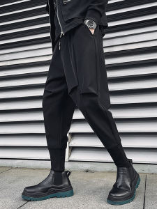 Warm Thickened Harem Pants for Men