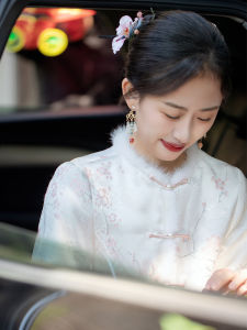 Young Style Thickened Velvet Lining Traditional Chinese Cheongsam Womens Winter Cotton Clothes DQ23162 Pure E-commerce Sales