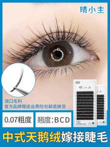 Natural Looking Velvet Eyelashes Extensions Super Soft Handmade Open Flower Velvet Brows No Shedding Beauty Salon Tools