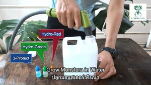 แกลลอนเปล่าสีขาวขุ่น ขนาด 1 ลิตร สำหรับผสม PLANT FOOD และ 3-PROTECT