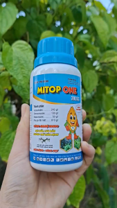 [THIEN THINH SHOP] MITOP ONE chai 240ml Trừ lem lép hạt lúa nếp làm sáng hạt sạch nấm bệnh