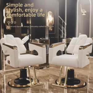 DANBIYIN | Salon Barber Chair Elevating Reclinable Styling