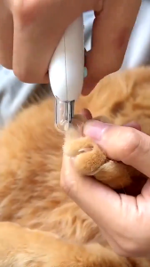 Pet Nail Clippers with Safety Guard Adjustable Round Hole Trimmer for Cat Dog Professional Grooming Scissors Sharp Blade