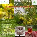 SIBUKAW HERBAL TEA 10pcs-30pcs. 