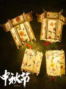 New Year Lantern Luminous Chinese Ancient Style Kids Non-Heritage Handmade Lantern Flowers and Plants DIY Material Package Homemade Satchel Han Clothing