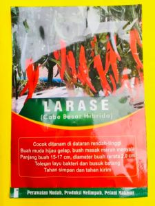 Benih Cabe Besar LARASE Hibrida isi 1500biji CAP SEBELAS MANTAB