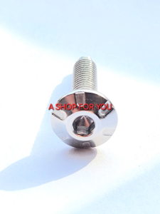 BOLT SCREW BENELLI STAINLESS SCREW M6X25 | PART NUMBER: B0284060250A