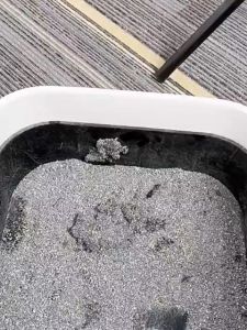 Stainless Steel Cat Poop Shovel Wooden Handle Fine Hole Multi-Functional Sifting Kitten Toilet Cleaning Tool Pet Products High Quality