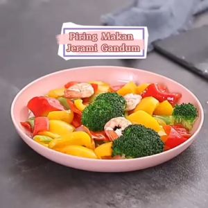 Piring Makan Bulat Bahan Serat Jerami 20cm Tempat Saji Makanan BPA FREE Dinner Plate Wheatstraw Hadiah Pernikahan - FR Gallery