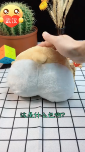 Túi đeo chéo ví mini mông chó Shiba Corgi mới nhất 2025