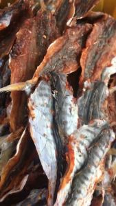 KHÔ CÁ THU XẺ SIÊU NẠC - ƯỚP GIA VỊ THƠM NGON - VỰA KHÔ TÚ SƯƠNG