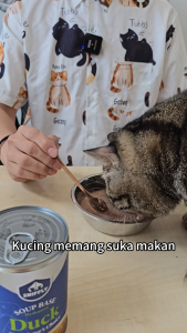 POODEE PETS Malaysia Sniffly Soup Base Cat Canned Food 400g Cat Wet Food Grain Free Real Meat Pate Cat Food Makanan Kucing Basah 猫罐头