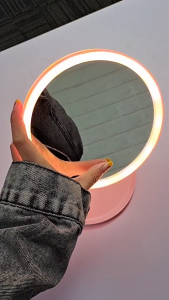 LED Makeup Mirror Rechargeable Touch Screen Detachable Portable Traveling Makeup Vanity Mirror Dimming with Lights Birthday