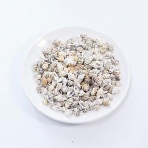 30/40/50g Natural Sea Flower Snail Shell Beads Loose Spacer Beads for DIY Jewelry Bracelet Pendant Craft Decoration Accessories
