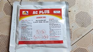 100g Amoxicillin 50% Hàm lượng cao