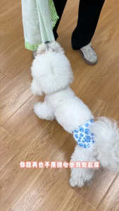 Dono PetClub 10PCS Dog Diaper Male Disposable Diapers for Dogs Male Multicolor Wraps For shih tzu