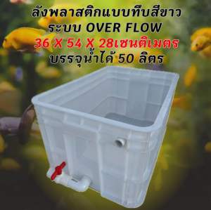 ลังพลาสติกแบบทึบท่อขาว overflow ระบบวาวล์ปิดเปิดน้ำได้ อ่างเลี้ยงปลา อ่างเลี้ยงปลา กะบะปลา อ่างปลาบอลลูน อ่างปลาเมกาดะ