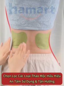 Hộp 12 Miếng Dán Giảm Mỡ Bụng Giảm Cân Ngải Cứu Detox Tan Mỡ Eo Thon Gọn Hiệu Quả Tiện Lợi - Lazada