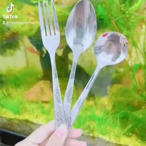 Muỗng nĩa inox ăn cơm phở soup cán họa tiết hoa văn cao cấp thép không gỉ