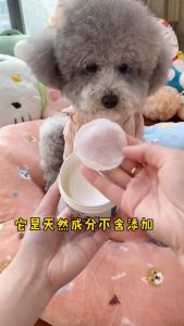 200PCS/Box Pet Eye Wet Wipes Ear Wet Wipes Cat Dog Tear Stain Remover Mild and non-irritating Pet Wet Wipes Pet Cleaning Paper