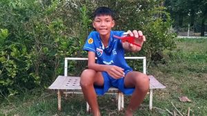 คีมควั่นกิ่ง กันไดรตัดกิ่ง เครื่องตอนกิ่ง ที่ตอนกิ่ง กรรไกรตอนกิ่ง3in1 ครีมตอนกิ่ง มีดควั่นกิ่ง