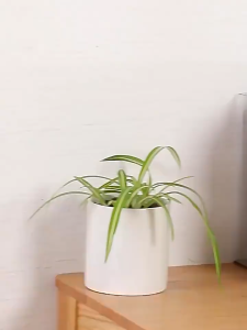 hộp lưu trữ hồ sơ để bàn trong suốt khay dọc đứng đựng tài liệu sách vở decor bàn học