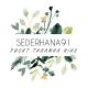 SEDERHANA91