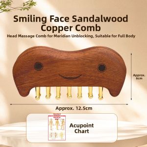 Bronze Meridian Brush Full Body Massage Tool Stomach Rubbing Abdomen Head Hand Leg Back Scraping Tool Health Care Equipment