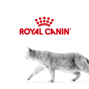 Royal Canin Wet Food Pouch 85g - Hair&Skin Instinctive Kitten Sterilised Makanan Kucing Mochapet