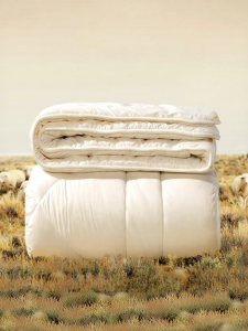 FUANNA (富安娜) | Warm & Thick Wool Duvet