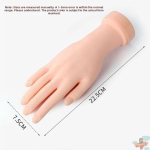 Jiaxun | Silicone Realistic Hand Model for Nail Practice Jewelry Display Acupuncture Photography Prop