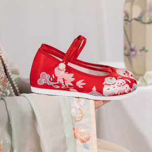New Style Comfortable Breathable Embroidered Hanfu Shoes Womens National Style Soft Bottom Mesh Shoes Traditional Chinese Fairy Cloth Shoes