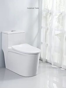Toilet Bowl One Piece Siphonic Dual Flush Water Closet Ceramic Floor Mounted WC