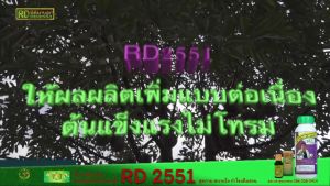 2 ขวด RD2551 โปรตีนอะมิโน สารเพิ่มคุณภาพและผลผลิตสกัดจากวัตถุดิบธรรมชาติ, ปลอดสารพิษ