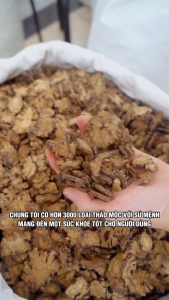 Hà thủ ô đỏ thái lát 1kg hàng chưa chế khô sạch thơm - Chợ Thảo Dược Việt