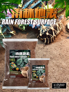 แผ่นดินภายนอกที่ไม่ต้องใช้การฆ่าเชื้อแบคทีเรียสำหรับการดูแลสัตว์เลื้อยคลานและกระต่ายดิน แผ่นดินภายนอกธรรมชาติสำหรับการดูดซับกลิ่น