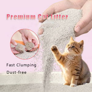 4.8KG / 2KG Cat Litter Super Clumping Bentonite Cat Sand No Odor High Quality Cat Litter