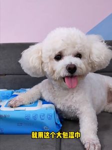 Cocoyo Removes tear stains & ear wax Pet Wipes 80 Pieces Specialized Wipes For Dogs and Cats To Clean Without Washing Pet Wet Tissue 200mm*180mm 宠物狗猫抗菌消毒湿纸巾