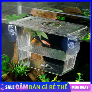 Lồng Đẻ Cách Ly Sinh Sản Cho Cá Cảnh Cá Guppy - Bệ Nhựa Mini Tách Cá Đẻ Và Dưỡng Cá Bệnh Chất Liệu Mica / Khay Ép Cá Đẻ Trứng / LỒNG ẤP CÁ BẢY MÀU