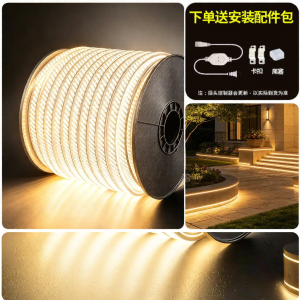 BOOMING LIGHTING | Super Bright White Waterproof LED Light Strip 220V