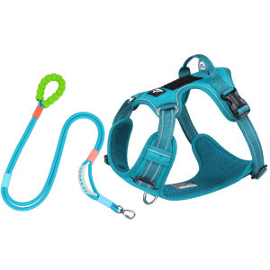 FENGCAO | Backpack Style Dog Harness and Leash