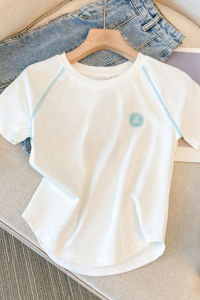 Slim Fit Short Sleeve T-Shirt Womens Summer Fashion Design Korean Style round Neck Casual Silk Top Commute Pure Color