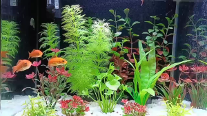 25PCS/set Plastic Plant Ornament Aquarium Decoration Pokok Plastik Perfect Ocean