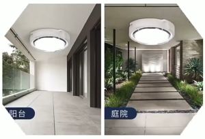 Solar Ceiling Light Indoor LED 300W 200W 100W 60W White Light Tricolor Light Ceiling Lamp Outdoor Flood Light Street Lamp Panel Set Waterproof Automatic IP67 With Remote