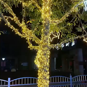 10Meter LED hari raya Lights Fairy Lights 100 LED Lights Strip Waterproof String Lights Tree Flower hari raya decoration