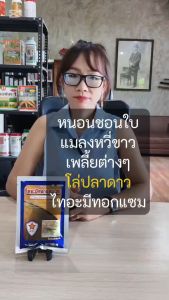กำจัดแมลงศัตรูพืช ในต้นมะพร้าว เพลี้ยอ่อน เพลี้ยไฟ เพลี้ยจักจั่น ด้วยสารกำจัดแมลงโล่ปลาดาว ไทอะมีทอกแซม