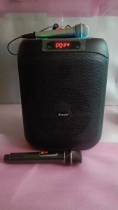 Brodu BTS-2475 Portable Bluetooth Speaker with Microphones